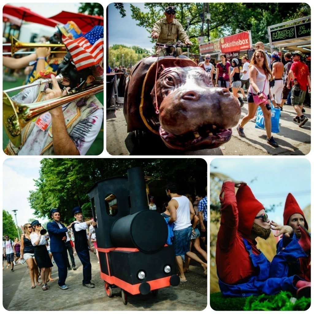 Fotos: Mozsi Gabor e Sandor Csudai (hipopótamo)/Divulgação