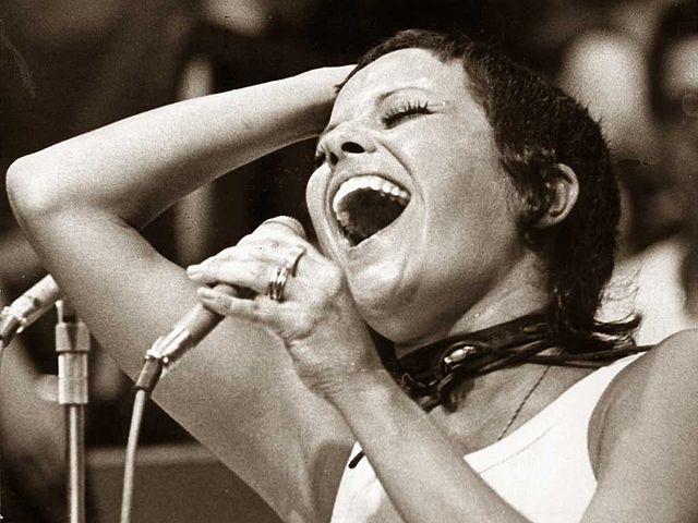 Elis regina