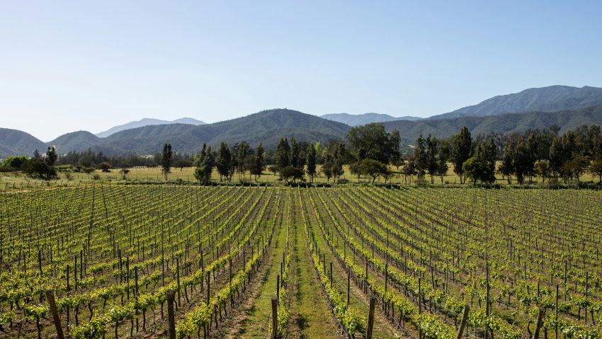 vinícolas em santiago