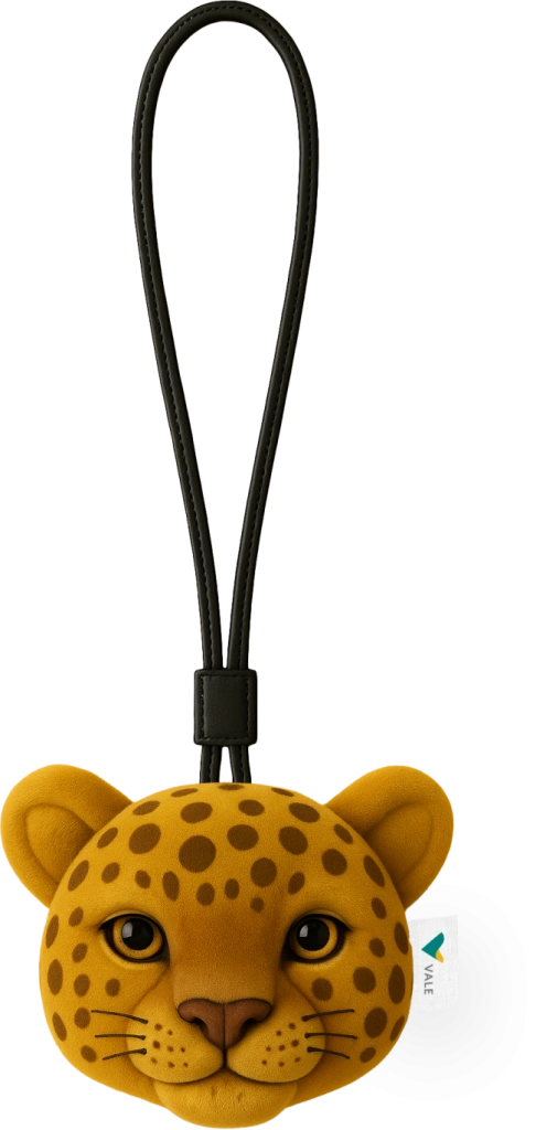 brinde the town 2025 bag charm vale